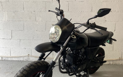 LIFAN PONY 100 / 800€