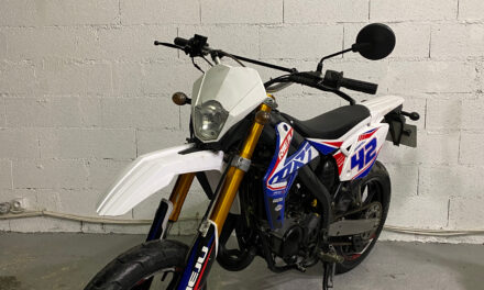 RIEJU MRT 50 cc / 2200 €