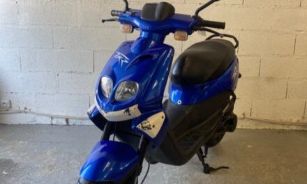 Scooter Peugeot TREKKER / 950 €