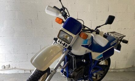 Moto trial Suzuki 600 DR SJ 1988  / 2 490 €