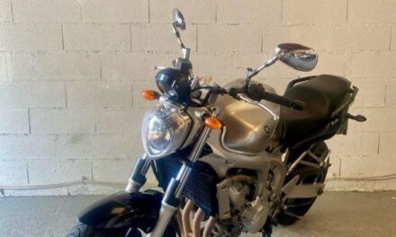 Moto Roadster streetbike Yamaha FZ6 – 2  490 €