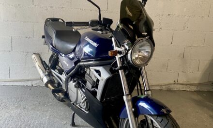 Moto Roadster kawasaki ER5 – 1 500 €